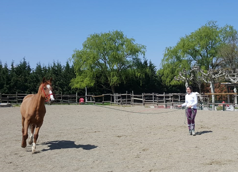 #yoentrenoencasa con Marina Zapata